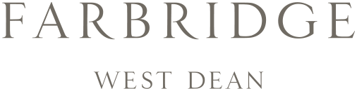 Farbridge Logo